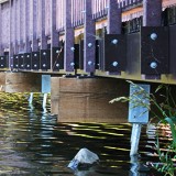 Boardwalk Walkways