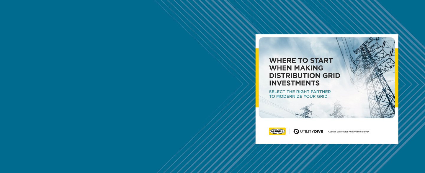 Grid Investment Planning