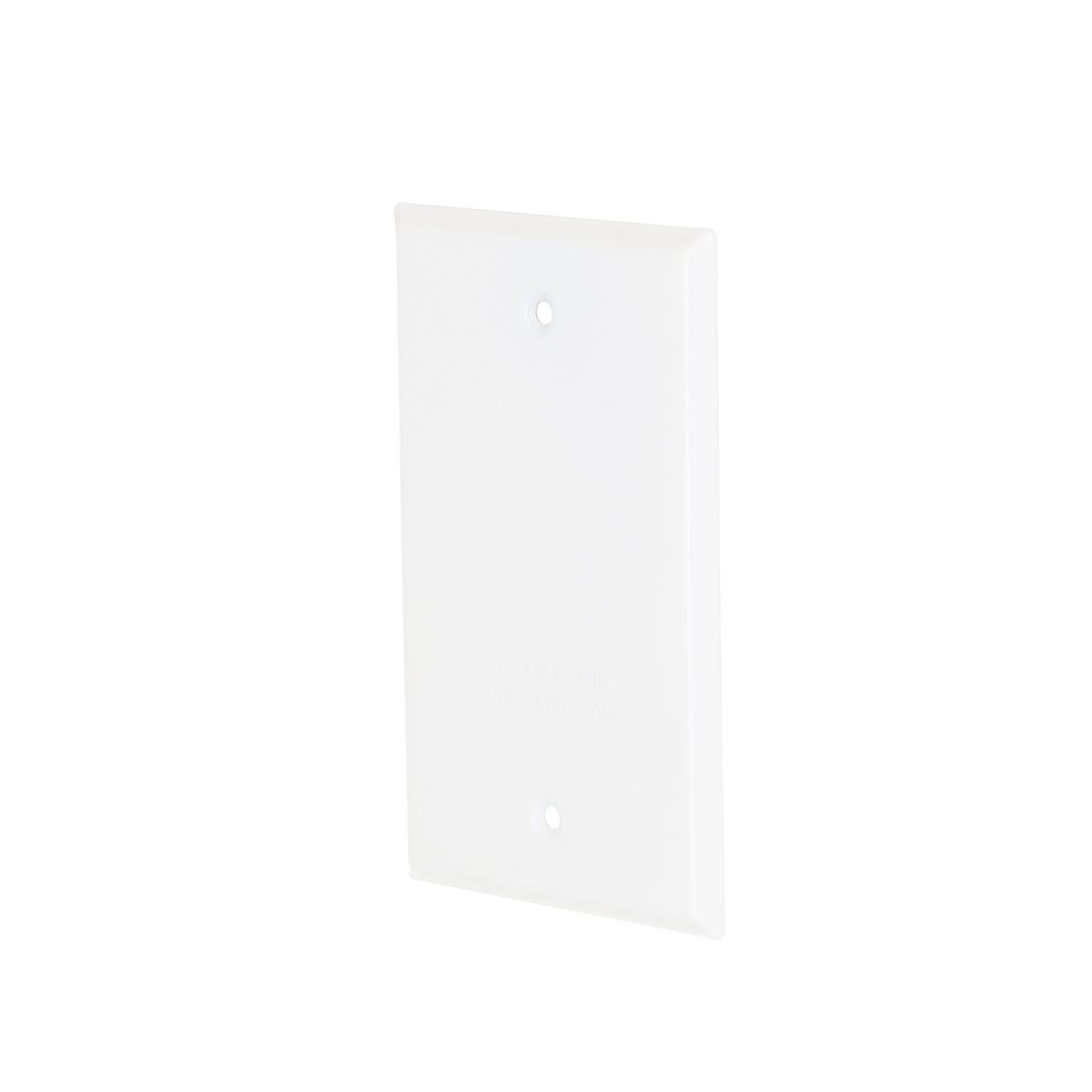 RAC 5173-1 1G VERT/HORIZ WP COVER BLANK - WHITE