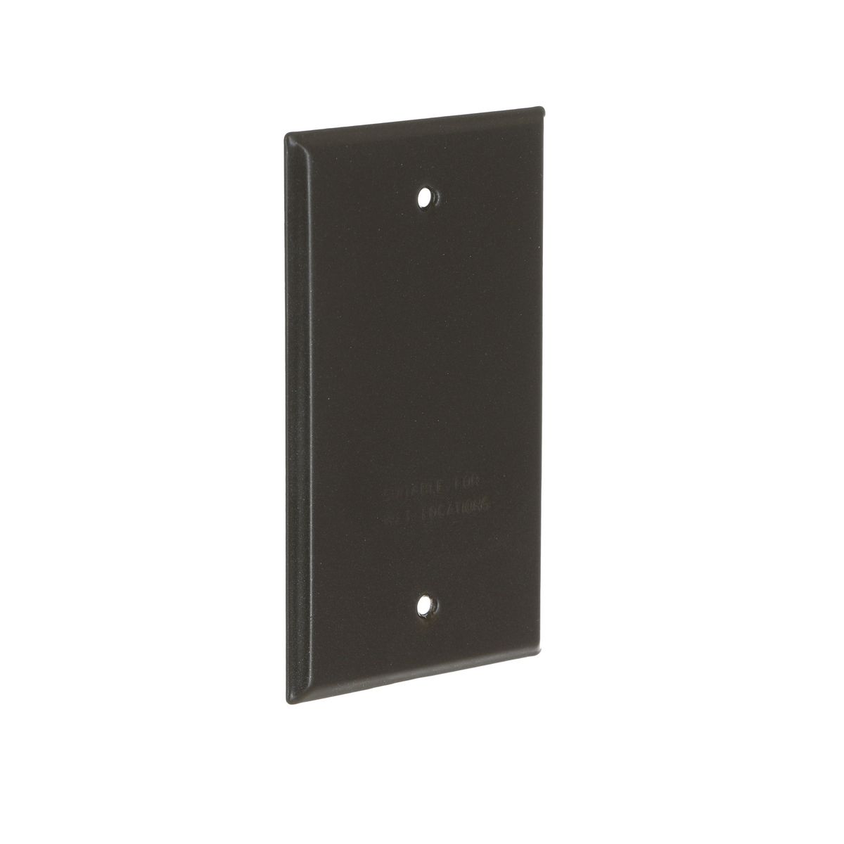 RAC 5173-2 1G VERT/HORIZ WP COVER BLANK