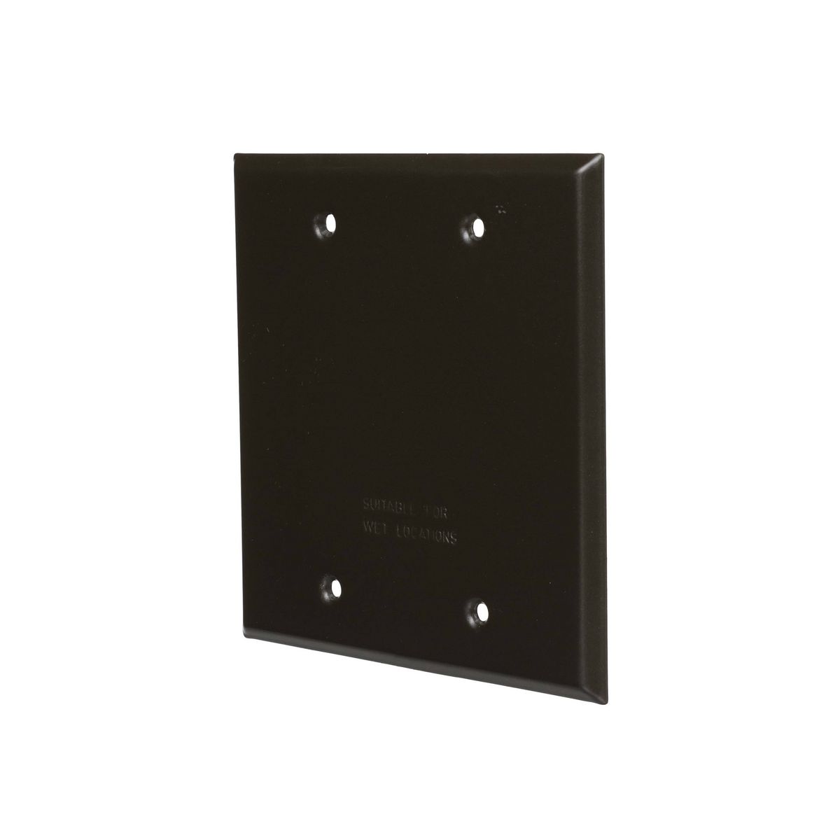 RAC 5175-2 2G WEATHERPRROF COVER BLANK - BRONZE
