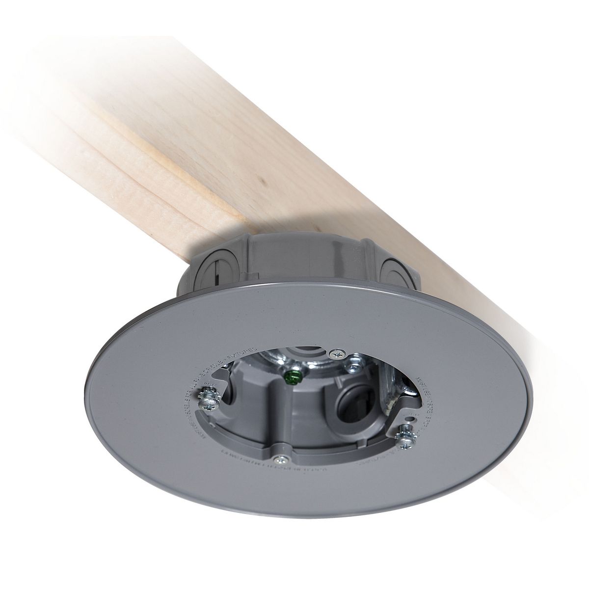 Outdoor Ceiling Fan And Luminaire Box