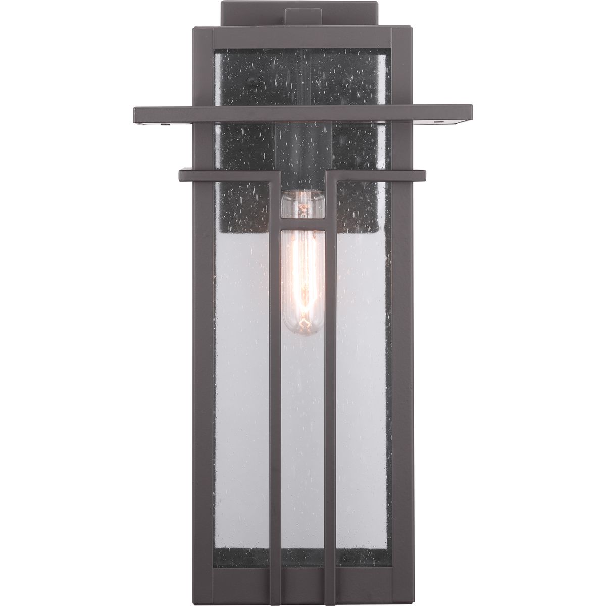 Boxwood Collection One-Light Large Wall Lantern | P560112-020