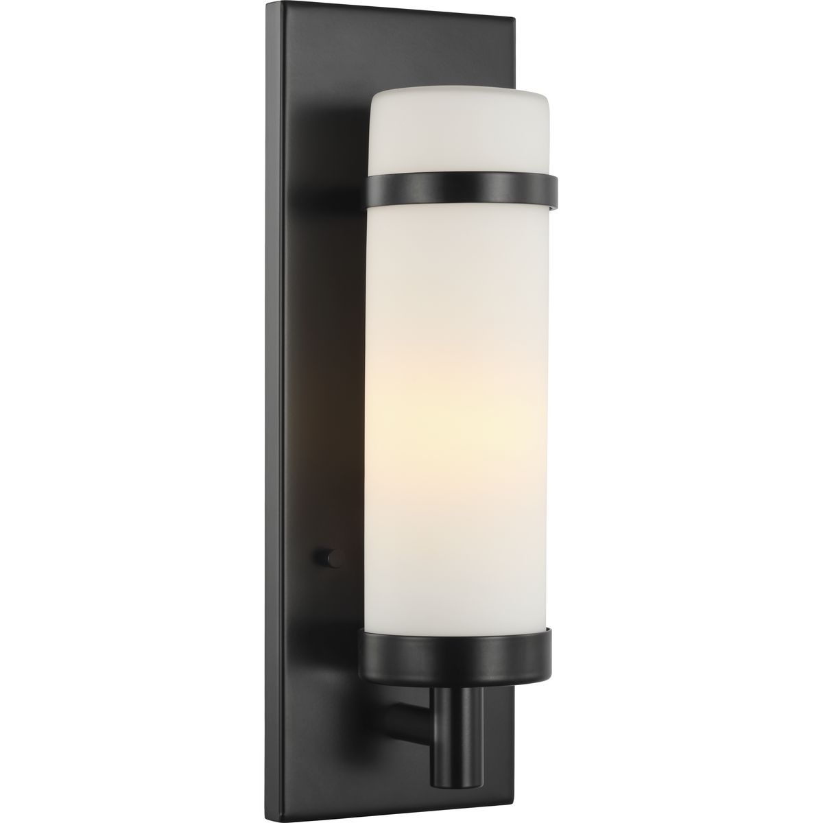 Hartwick Collection Black One-Light Wall Sconce | P710087-031