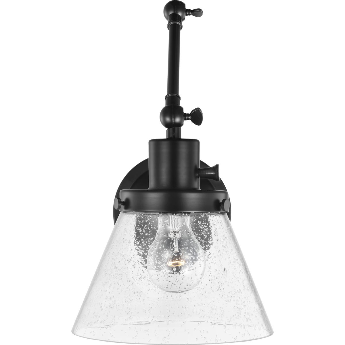 Hinton Collection Black Swing Arm Wall Light | P710094-031