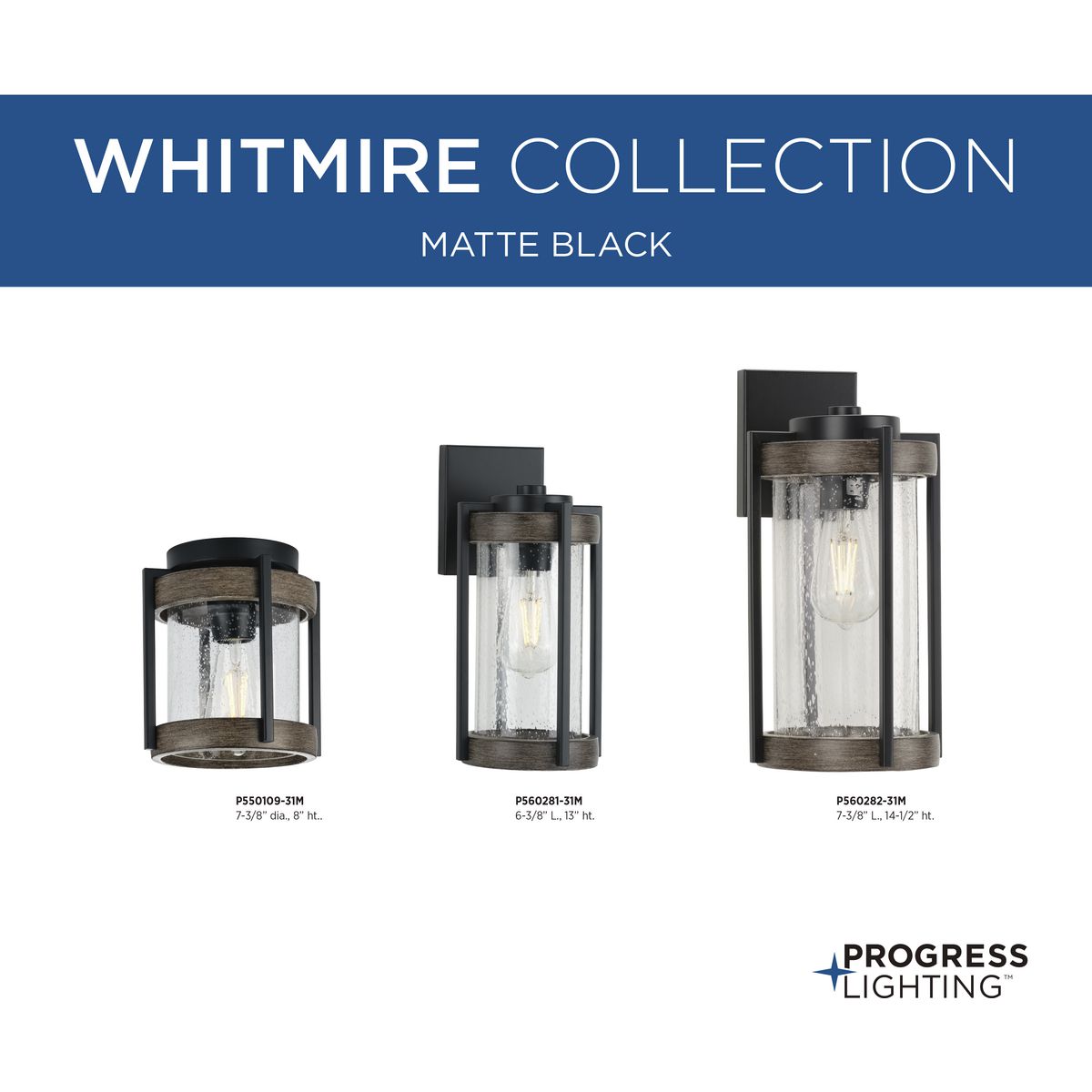 Whitmire Collection OneLight Matte Black with Aged Oak Accents Clear