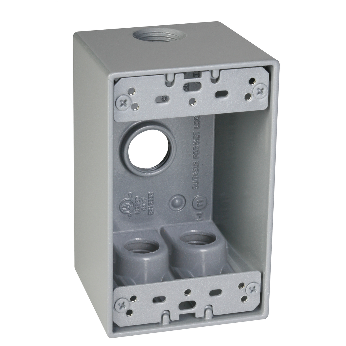 1G WP DEEP BOX (4) 1/2 IN. OUTLETS - GY