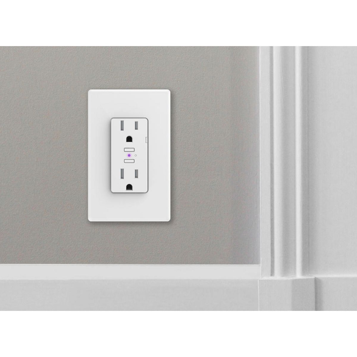 Caution Tram sugar iDevices Wi-Fi Enabled Smart Duplex Wall Outlet; Works with Amazon Alexa,  Apple HomeKit™, and Google Assistant, 15A 125VAC, White | IDEV0010HW |  Hubbell