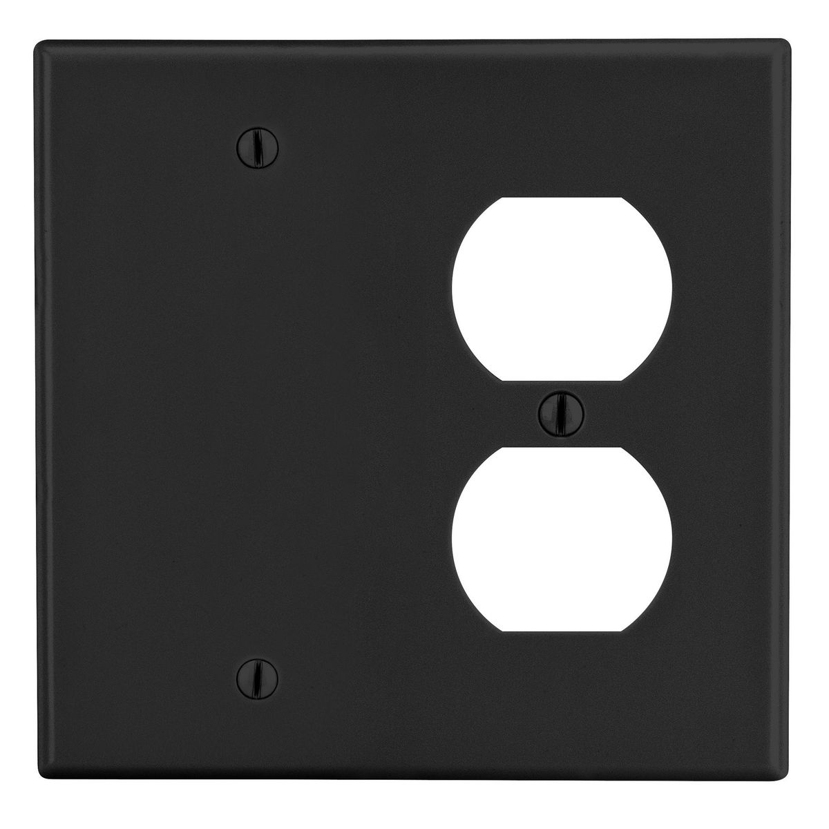 Product image for HWDK P138BK WALLPLATE, 2-G, 1) DUP