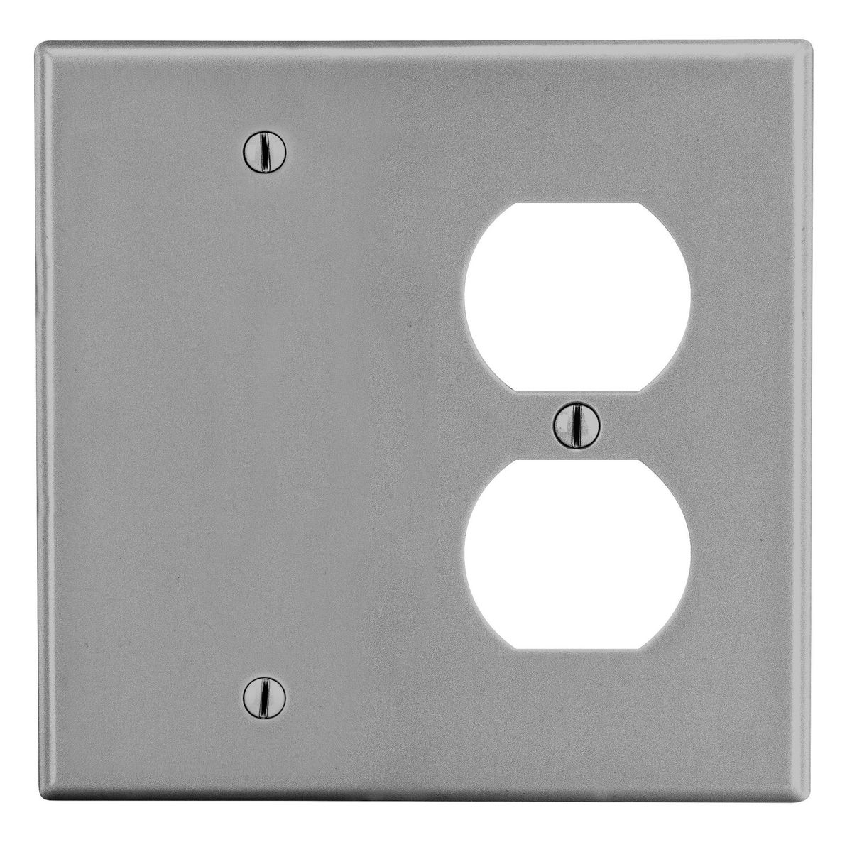 WALLPLATE, 2-G, 1) DUP 1) BLANK, GY
