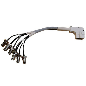 100 Series 8-Port RA DART to RPTNC BH Jack 10" Cable Assembly
