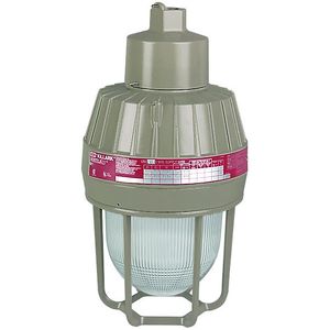 EMH050A3G - 50W Metal Halide 1" Pendant with Guard