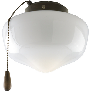 AirPro Collection One-Light Ceiling Fan Light