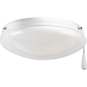 AirPro Collection Two-Light Ceiling Fan Light