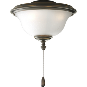 AirPro Collection Two-Light Indoor/Outdoor Ceiling Fan Light