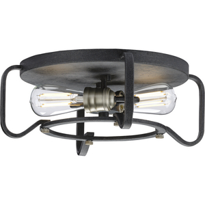 Ceiling Mount Residential Indoor Lighting Lighting