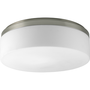 Maier Collection Two-Light 14" CFL Close-to-Ceiling