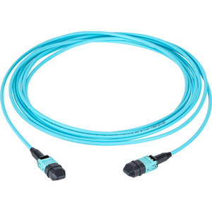 MPO Fiber Trunk Cable Assembly, 10 Feet