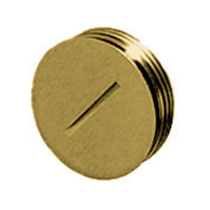 Delivery Systems, Replacement Threaded Plug for HBL5236, Brass