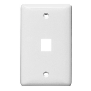 NetSelect Products, Wall, Without Label, Mid Sized, 1-Port, White