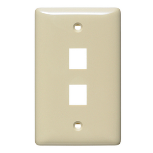 NetSelect Products, Wall, Without Label, 1-Gang, 2-Port, Electric Ivory