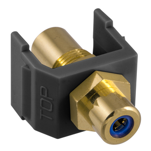 INFINe Connector, Audio/Video Connector, RCA Gold Pass-thru, F/F Coupler, Black/Blue