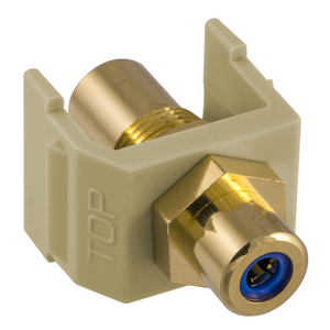 INFINe Connector, Audio/Video Connector, RCA Gold Pass-thru, F/F Coupler, Electric Ivory/Blue