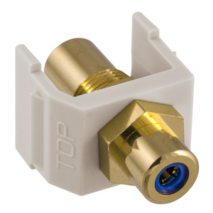 INFINe Connector, Audio/Video Connector, RCA Gold Pass-thru, F/F Coupler, Office White/Blue