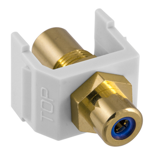 INFINe Connector, Audio/Video Connector, RCA Gold Pass-thru, F/F Coupler, White/Blue