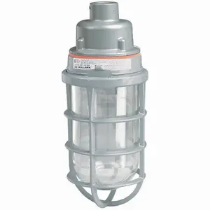 Image of VUAGG-1-100PX VUAGG-1-100PX - 150W V Series Incandescent - Pendant - 1/2" Hub With Globe and Guard - Unit Pack