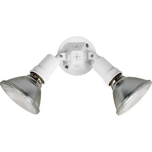 Image of P5212-30 Two-Light Adjustable Swivel Flood Light