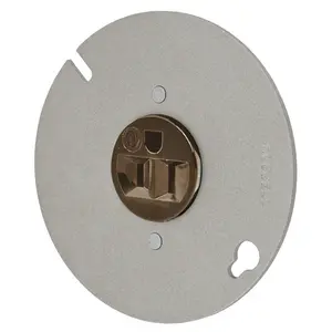 Image of 5281 Straight Blade Devices, Specialty Receptacles, Single, Commercial/Industrial Grade, 15A 125V, 5-15R, Mounted to 4" Round Cover