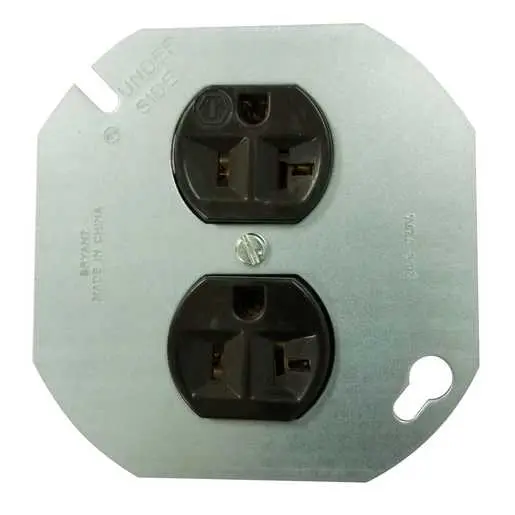 Image of BRY5382 Straight Blade Devices, Receptacles, Duplex, Commercial/Industrial Grade, Specialty, 20A 125V, 2-Pole 3-Wire Grounding, 5-20R, Brown, Single Pack