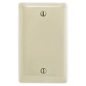 Image of NP13AL Wallplates and Box Covers, Wallplate, Nylon, 1-Gang, Blank, Box Mount, Brown