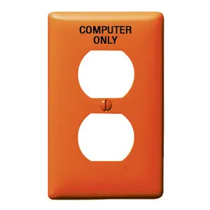 Image of NPJ8CO Wallplates and Box Covers, Wallplate, Nylon, Mid-Sized, 1-Gang, 1) Duplex, Marked "Computer", Orange