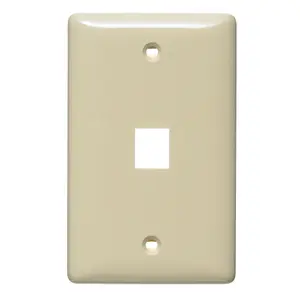 Image of NSP101I Plate, Wall, Label-Less, Mid-Sized, 1- Port, Electric Ivory