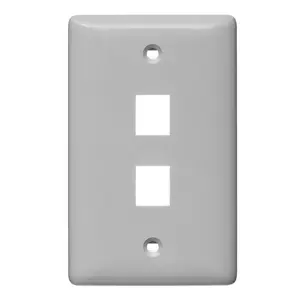 Image of NSP102GY Plate, Wall, Label-Less, Mid-Sized, 2- Port, Gray