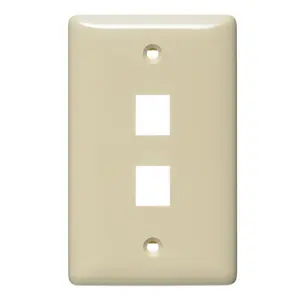 Image of NSP102I Plate, Wall, Label-Less, Mid-Sized, 2- Port, Electric Ivory