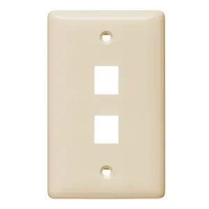 Image of NSP102LA Plate, Wall, Label-Less, Mid-Sized, 2- Port, Light Almond