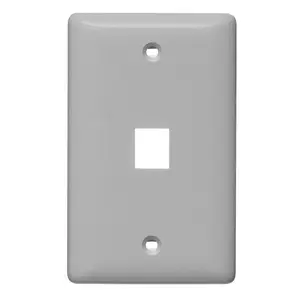 Image of NSP11GY Plate, Wall, Label-Less, 1-Gang, 1- Port, Gray