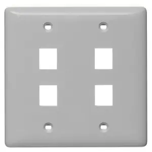 Image of NSP24GY Plate, Wall, Label-Less, 2-Gang, 4- Port, Gray