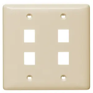 Image of NSP24LA Plate, Wall, Label-Less, 2-Gang, 4- Port, Light Almond