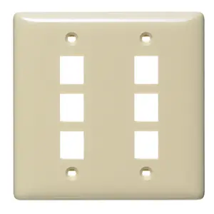 Image of NSP26I Plate, Wall, Label-Less, 2-Gang, 6- Port, Electric Ivory