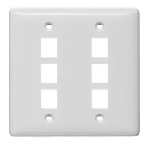 Image of NSP26W Plate, Wall, Label-Less, 2-Gang, 6- Port, White