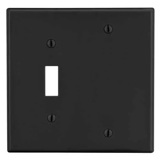 Image of P113BK Wallplate, 2-Gang, 1) Toggle 1) Blank, Black