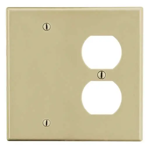 Image of P138I Wallplate, 2-Gang, 1) Duplex 1) Box Mount Blank, Ivory