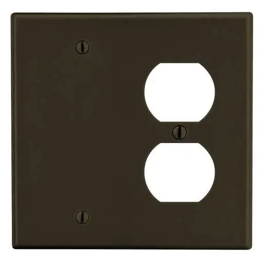 Image of P138 Wallplate, 2-Gang, 1) Duplex 1) Box Mount Blank, Brown