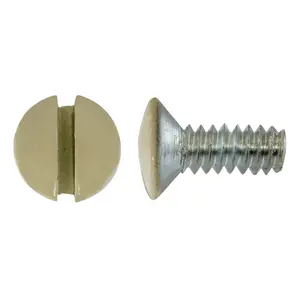 Image of RA38IPK100 Wallplates, Replacement Screws, 3/8" Length, Ivory, 100 Pack