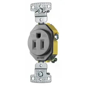 Image of RR151GYWRTR TradeSelect, Straight Blade, Single Receptacle, Weather and Tamper Resistant, 15A 125V, 2-Pole 3-Wire Grounding, 5-15R, Gray