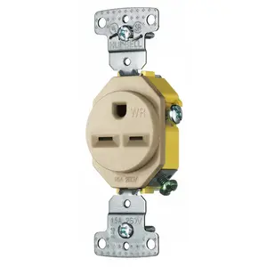 Image of RR155ALWR TradeSelect, Straight Blade, Single Receptacle, Weather Resistant, 15A 250V, 2-Pole 3-Wire Grounding, 6-15R, Almond